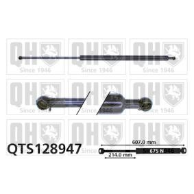 Achetez des Vérin de coffre QUINTON HAZELL QTS128947 à prix pour 27,22 €