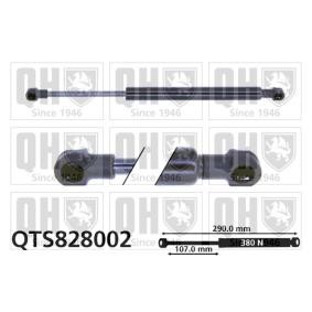 Achetez des Vérin de coffre QUINTON HAZELL QTS828002 à prix pour 22,72 €