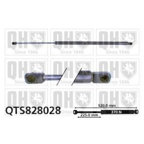 Achetez des Vérin de coffre QUINTON HAZELL QTS828028 à prix pour 21,06 €