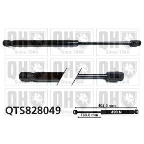 Achetez des Vérin de coffre QUINTON HAZELL QTS828049 à prix pour 42,97 €