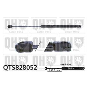 Achetez des Vérin de coffre QUINTON HAZELL QTS828052 à prix pour 25,53 €