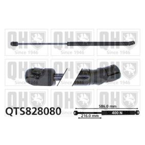 Achetez des Vérin de coffre QUINTON HAZELL QTS828080 à prix pour 21,89 €