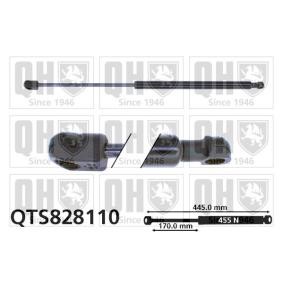 Achetez des Vérin de coffre QUINTON HAZELL QTS828110 à prix pour 18,64 €