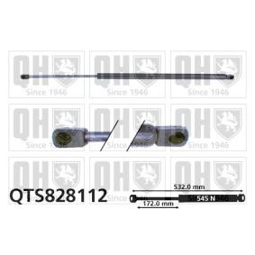 Achetez des Vérin de coffre QUINTON HAZELL QTS828112 à prix pour 34,47 €