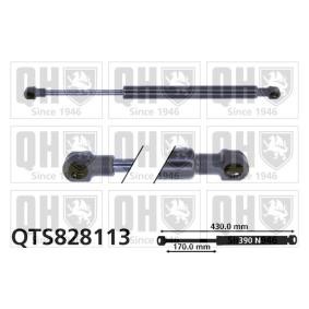 Achetez des Vérin de coffre QUINTON HAZELL QTS828113 à prix pour 20,47 €