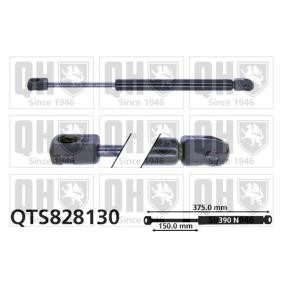 Achetez des Vérin de coffre QUINTON HAZELL QTS828130 à prix pour 30,55 €