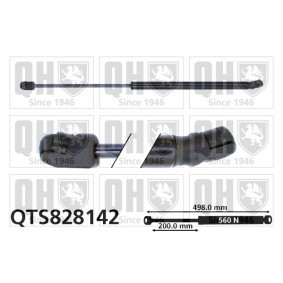 Achetez des Vérin de coffre QUINTON HAZELL QTS828142 à prix pour 19,89 €
