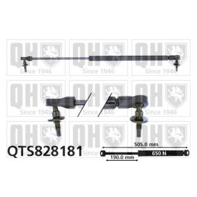 Achetez des Vérin de coffre QUINTON HAZELL QTS828181 à prix pour 17,42 €