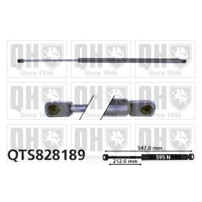 Achetez des Vérin de coffre QUINTON HAZELL QTS828189 à prix pour 25,53 €