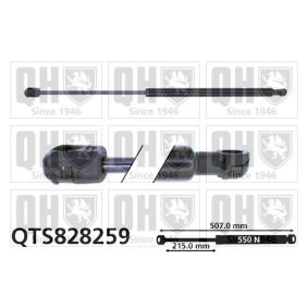 Achetez des Vérin de coffre QUINTON HAZELL QTS828259 à prix pour 22,38 €