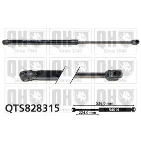 Achetez des Vérin de coffre QUINTON HAZELL QTS828315 à prix pour 21,52 €
