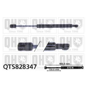 Heckklappendämpfer QTS828347