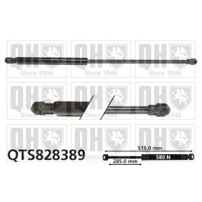 Achetez des Vérin de coffre QUINTON HAZELL QTS828389 à prix pour 21,86 €