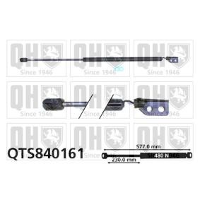 Achetez des Vérin de coffre QUINTON HAZELL QTS840161 à prix pour 58,88 €