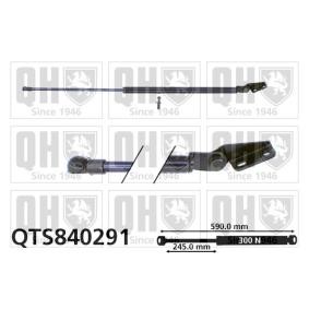 Achetez des Vérin de coffre QUINTON HAZELL QTS840291 à prix pour 93,02 €