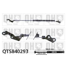 Achetez des Vérin de coffre QUINTON HAZELL QTS840293 à prix pour 67,80 €