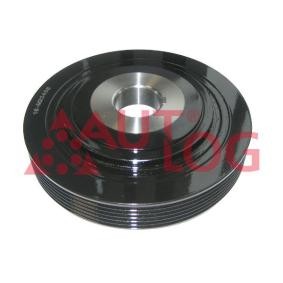 Achetez des Poulie damper (vilebrequin) AUTLOG RT1876 à prix pour 75,58 €