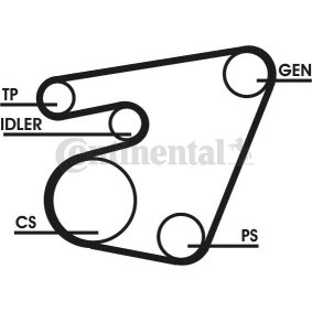 Acquista Kit Cinghie Poly-V da CONTITECH 6PK1715D1 a buon mercato per soli 206,80 €