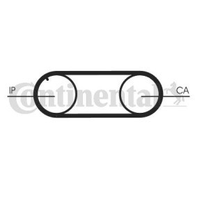 Acquista Cinghia dentata da CONTITECH CT645 a buon mercato per soli 20,27 €