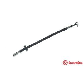 Comprar Latiguillo de freno de BREMBO T 49 066 a bajo precio de 31,38 €