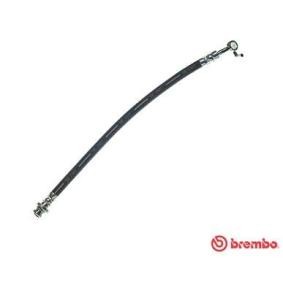 Comprar Latiguillo de freno de BREMBO T 56 167 a bajo precio de 25,07 €