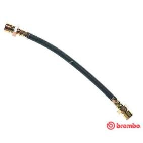 Comprar Latiguillo de freno de BREMBO T 59 032 a bajo precio de 21,33 €