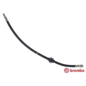 Comprar Latiguillo de freno de BREMBO T 68 091 a bajo precio de 13,27 €