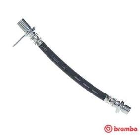 Comprar Latiguillo de freno de BREMBO T 83 161 a bajo precio de 12,51 €
