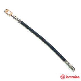 Comprar Latiguillo de freno de BREMBO T 85 146 a bajo precio de 12,19 €