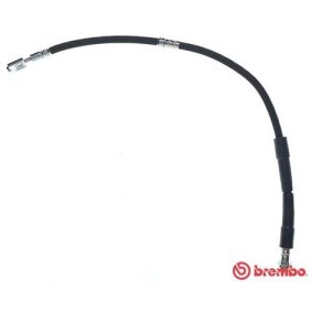 Comprar Latiguillo de freno de BREMBO T 85 158 a bajo precio de 23,72 €
