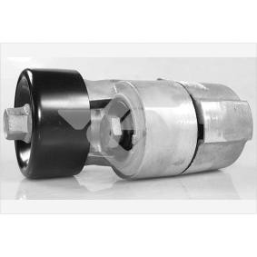 Compre Rolo tensor, correia trapezoidal estriada da HUTCHINSON T0568 a um preço baixo por 227,72 €