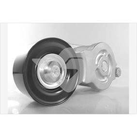 Compre Rolo tensor, correia trapezoidal estriada da HUTCHINSON T0578 a um preço baixo por 242,69 €