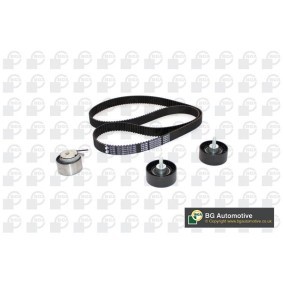 Compre Kit de distribución de BGA online para VOYAGER IV (RG, RS) a precios moderados