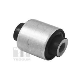 Compre Suspensão, apoio do eixo da TEDGUM TED21100 a um preço baixo por 22,28 €