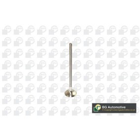 Comprar Válvula de escape de BGA V591702 a bajo precio de 9,25 €
