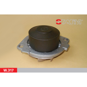 Achetez des Pompe à eau STATIM W.317 à prix pour 12,80 €