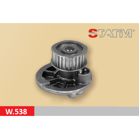 Comprar Bomba de agua de STATIM W.538 a bajo precio de 14,16 €