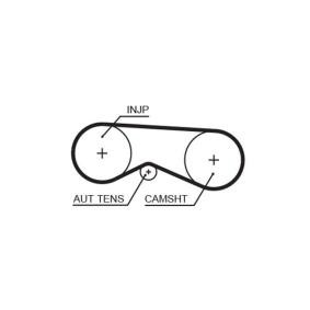 Acquista Cinghia dentata da GATES 5531XS a buon mercato per soli 23,90 €