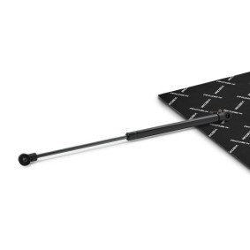 Compre Amortecedor da mala da RIDEX 219G0831 a um preço baixo por 19,41 €