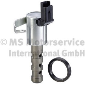 Acquista Valvola di comando per regolazione albero a camme da PIERBURG 7.06117.19.0 a buon mercato per soli 99,36 €
