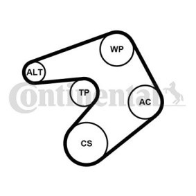 Acquista Kit Cinghie Poly-V da CONTITECH 6PK1205K1 a buon mercato per soli 79,43 €
