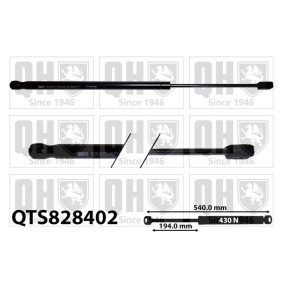 Achetez des Vérin de coffre QUINTON HAZELL QTS828402 à prix pour 33,40 €