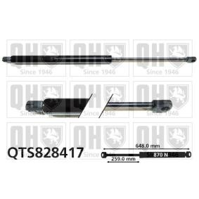 Achetez des Vérin de coffre QUINTON HAZELL QTS828417 à prix pour 28,00 €