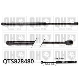 Achetez des Vérin de coffre QUINTON HAZELL QTS828480 à prix pour 35,40 €