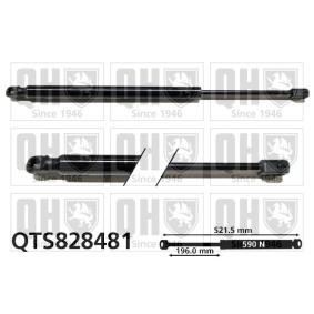 Achetez des Vérin de coffre QUINTON HAZELL QTS828481 à prix pour 35,40 €