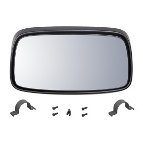 Acquista Specchio esterno, Cabina da FEBI BILSTEIN 100919 a buon mercato per soli 101,59 €
