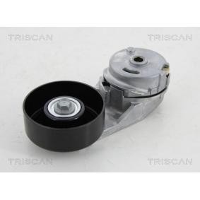 Spannrolle des Herstellers TRISCAN - Originalware Artikelnummer: 8641 103044