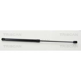 Heckklappendämpfer für MINI von TRISCAN