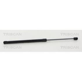 Heckklappendämpfer für MINI von TRISCAN