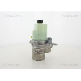 Compre Amortecedor da mala da TRISCAN 8710 80220 a um preço baixo por 24,70 €